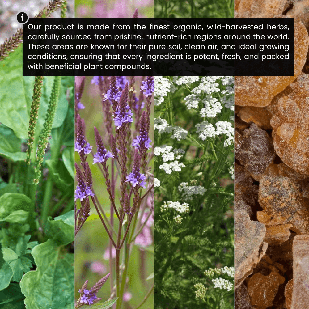 AlphaHormone Drops²