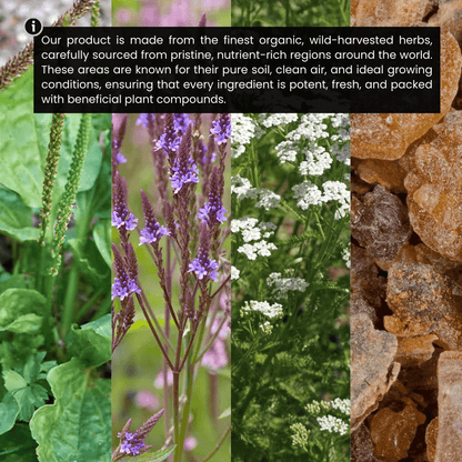 Lymphatic Support Drops